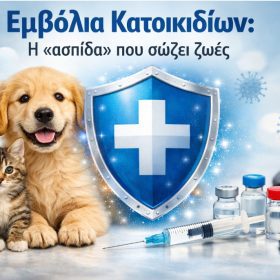 Εμβόλια Κατοικιδίων: Η «ασπίδα» που σώζει ζωές – Μήπως το δικό σας ημερολόγιο έχει επικίνδυνα κενά;