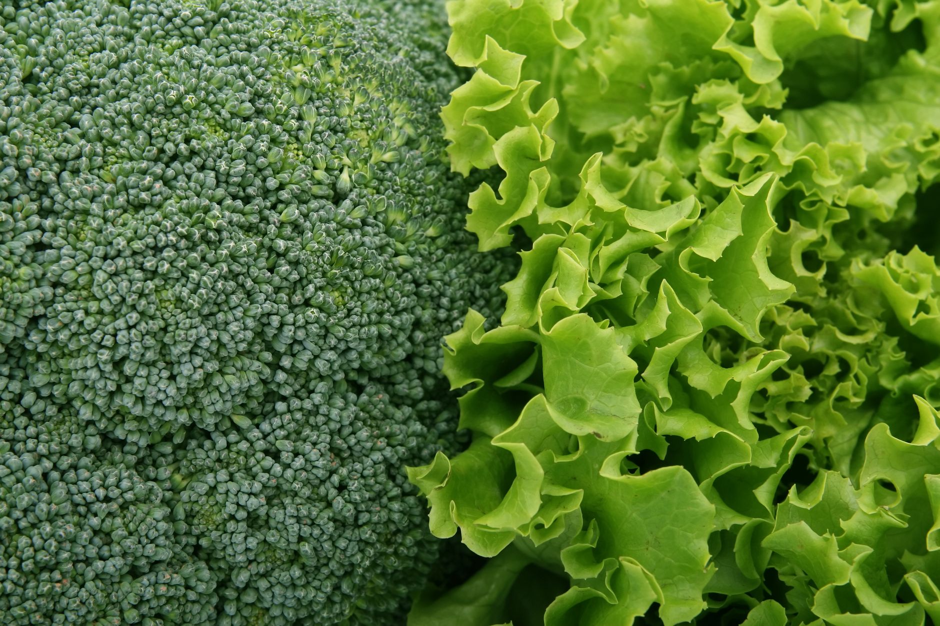 fresh vegetables healthy diet