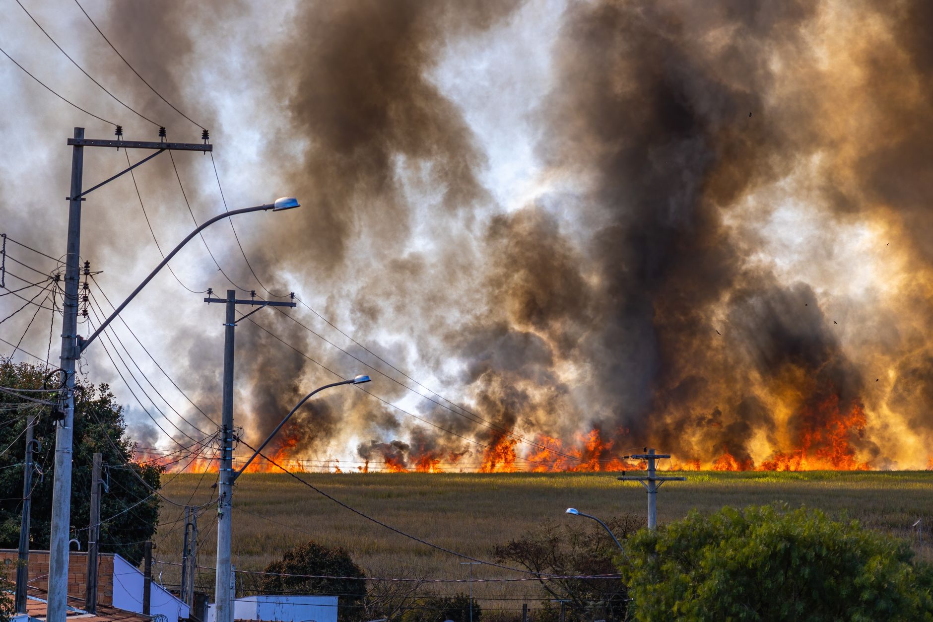 wildfire smoke over city
