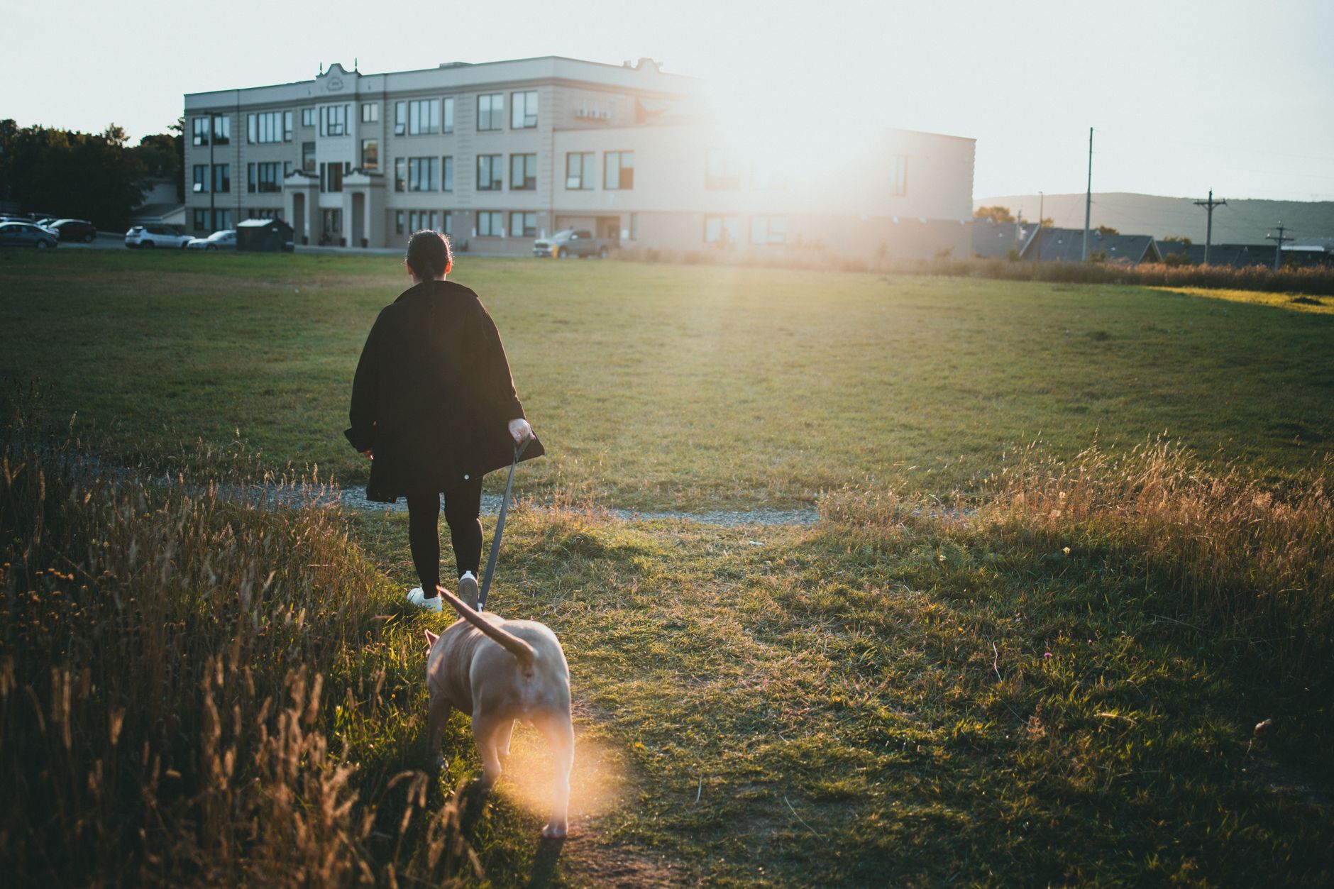 person walking dog outdoors