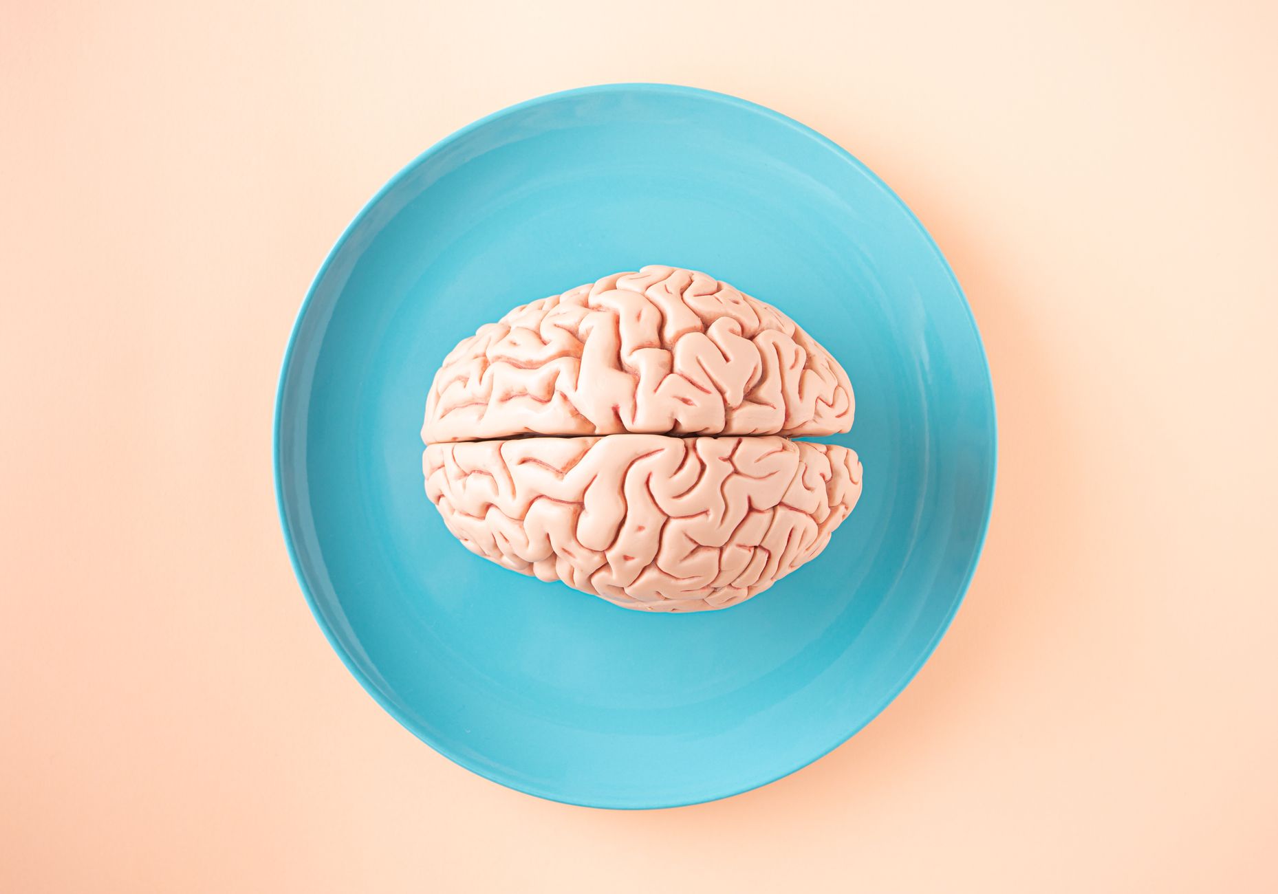 brain health research concept