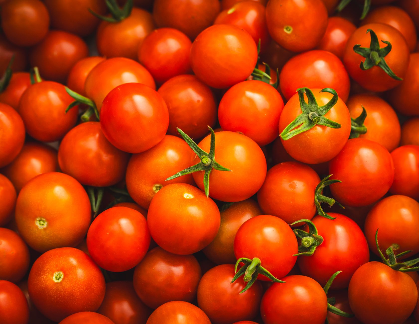 fresh tomatoes healthy food