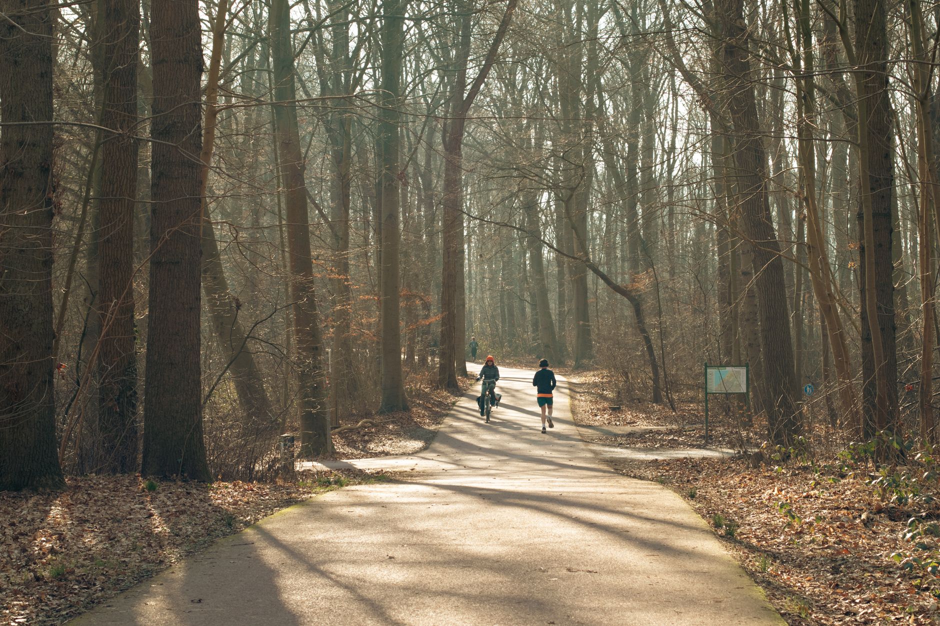 people walking outdoors exercise