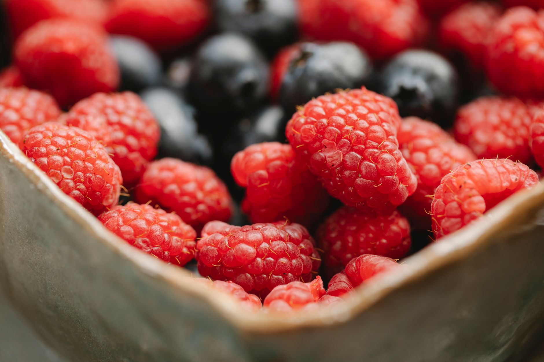 fresh forest berries bowl